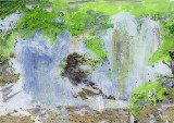 Dungpile Waterfall